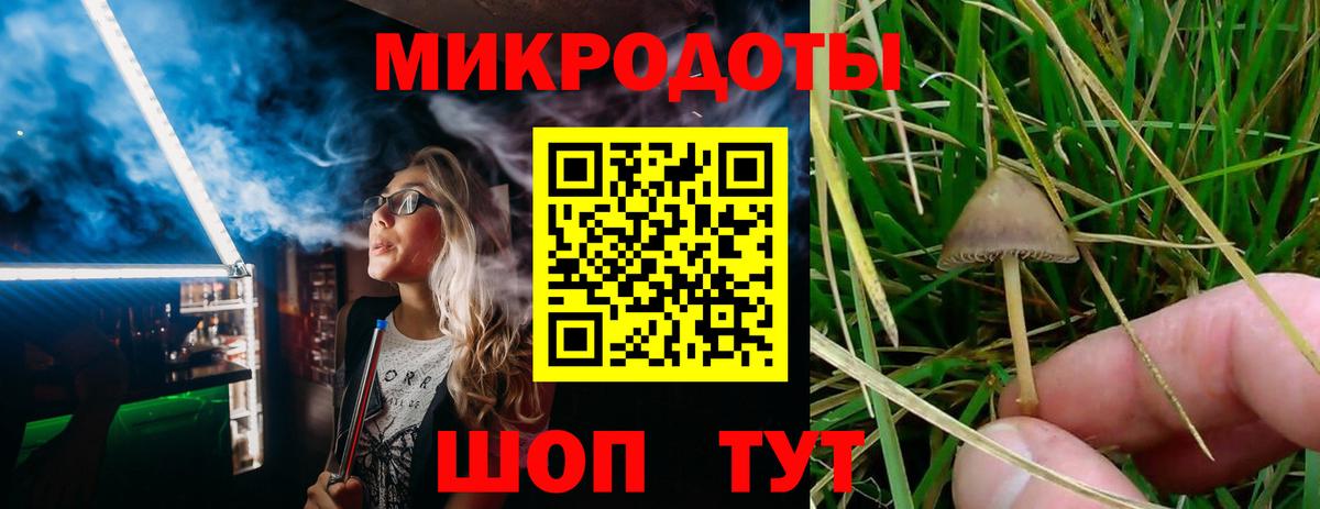 Галлюциногенные грибы MAGIC MUSHROOMS Видное
