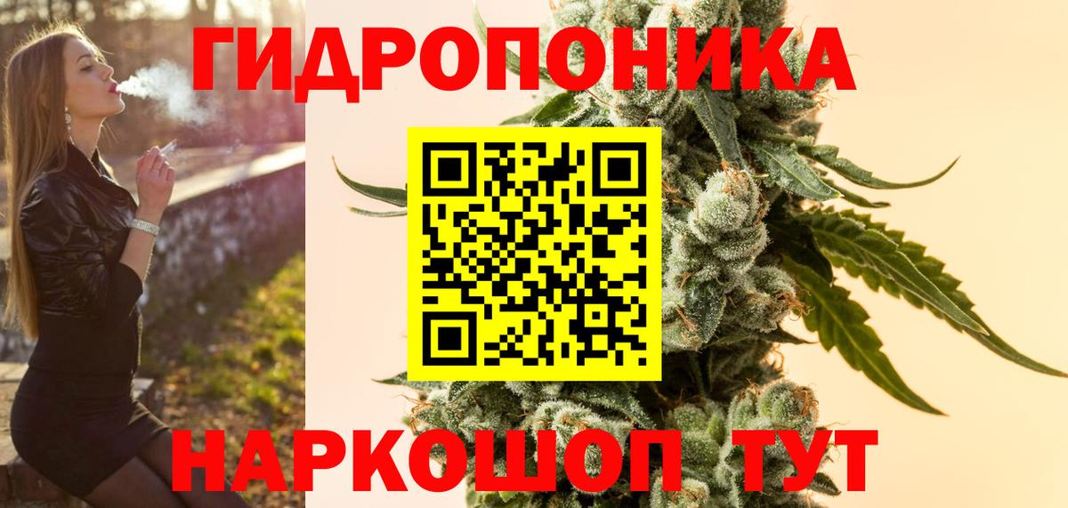 Бошки марихуана планчик  Конопля семена  Видное  Марихуана OG Kush  Вход с VPN 